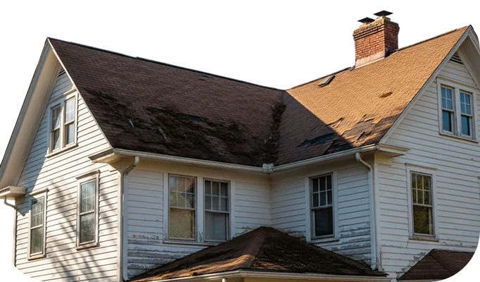 Roof Replacement